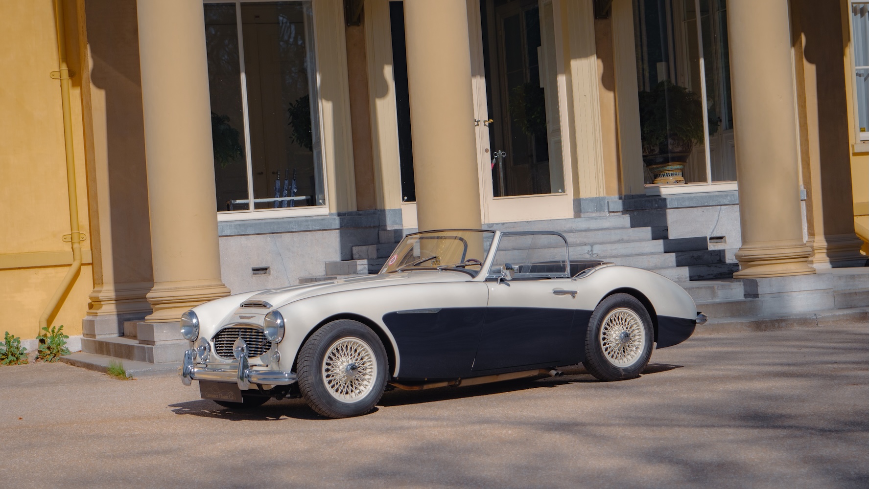 Austin Healey 100-6